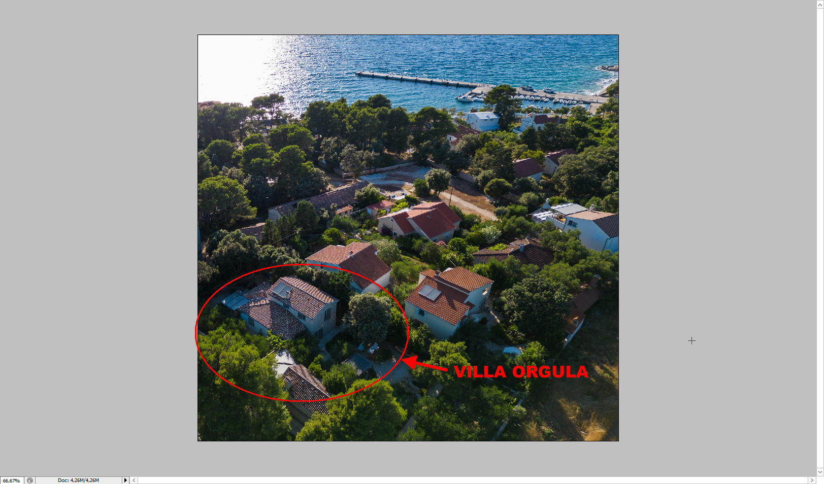 Orgula Garden photo 42