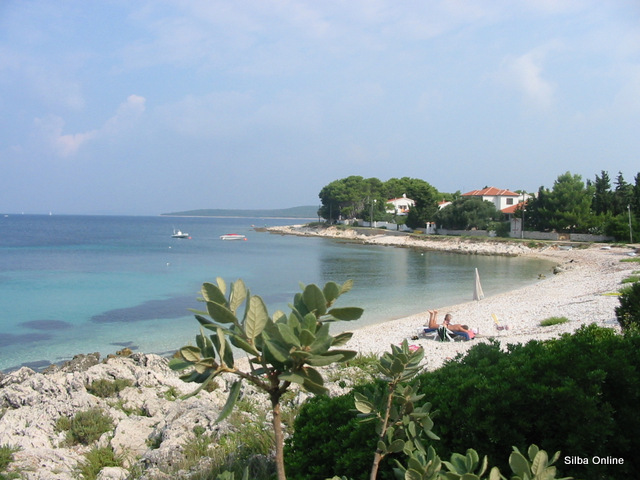 Silba island nature photo 9