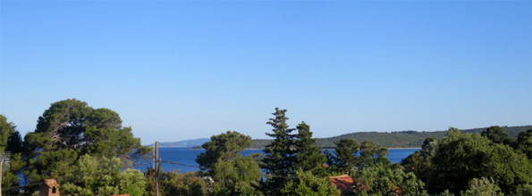 Oliva photo 2