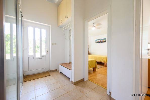 Oliva photo 4