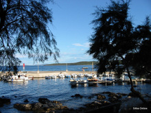 Silba island nature photo 19