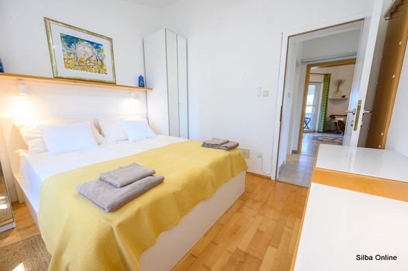 Oliva photo 10
